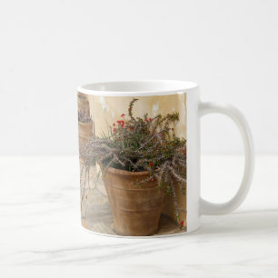 Rustik Mediterranean Cacti Plant Pots Mugg