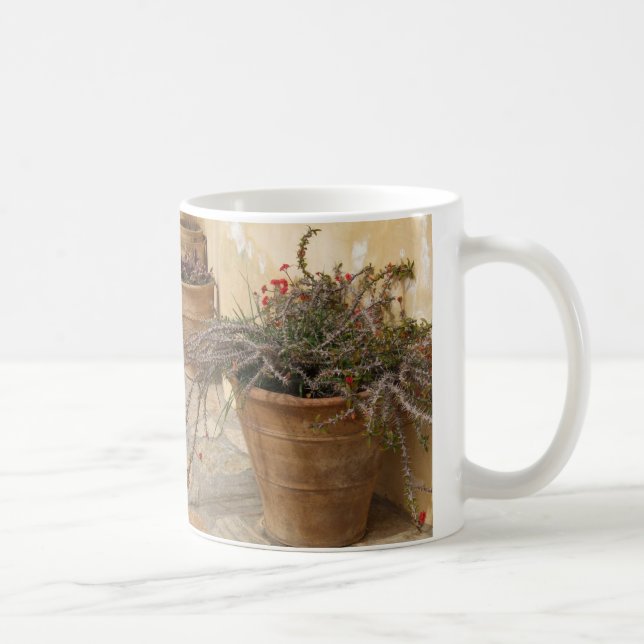 Rustik Mediterranean Cacti Plant Pots Mugg (Höger)