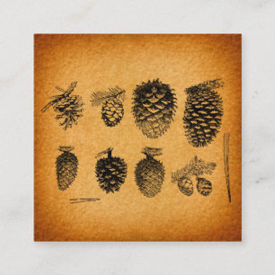 Rustik Pinecones Gräs Cone-teckning Antique Design Tilläggskort