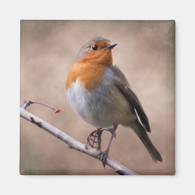 Rustik Robin Magnet (Framsidan)
