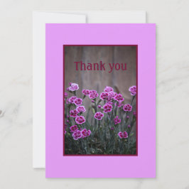 Rustik Rosa Dianthus Flowers - Stort tackkort Tack Kort