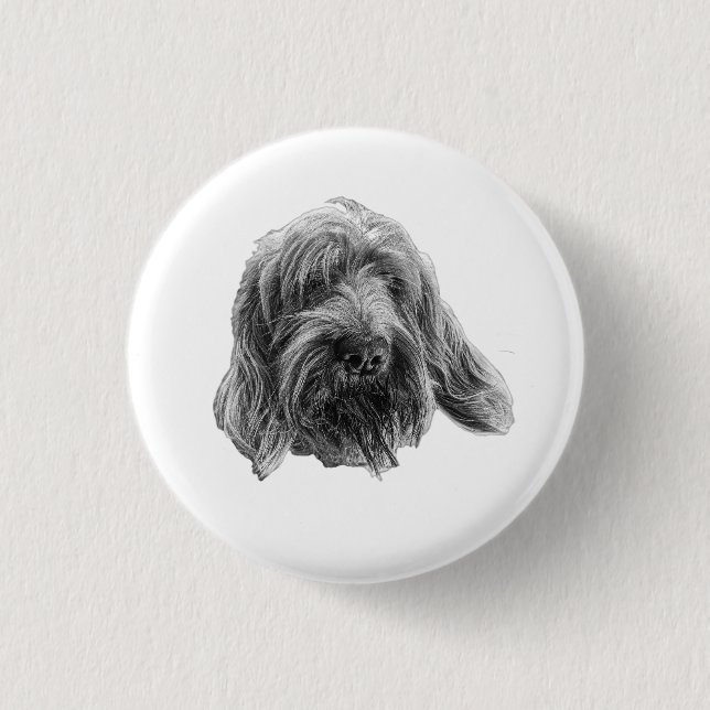 Rustik Spinone-märke Knapp (Framsida)