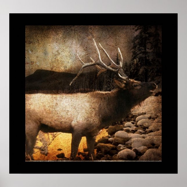 Rustik stuvburk, skogsbuskält i bergsområden poster (Framsidan)