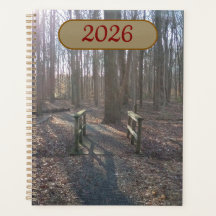 Rustik Träbro Bland Höga Träd Planner