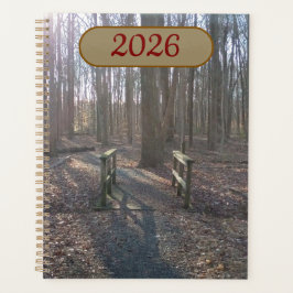 Rustik Träbro Bland Höga Träd Planner