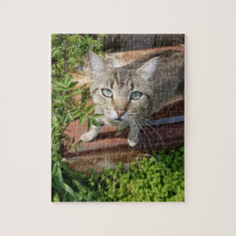 Rustik utomhuskatt pussel
