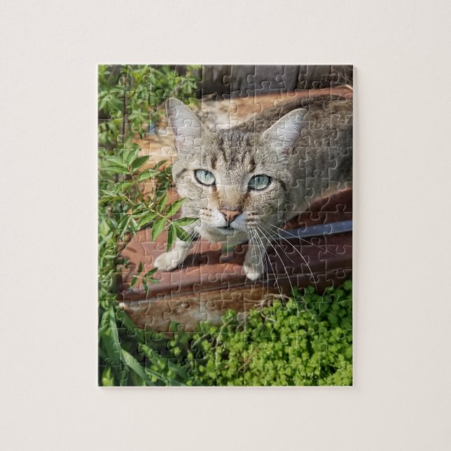 Rustik utomhuskatt pussel (Vertikal)