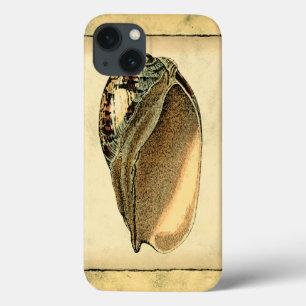 Rustik Vintage Seashell