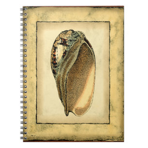 Rustik Vintage Seashell Anteckningsbok