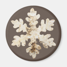 Rustik vintersnösnöbrun, brunt vitt