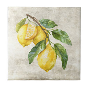 Rustika Citroner Shabby Chic Stuga Keramik Kakelplatta