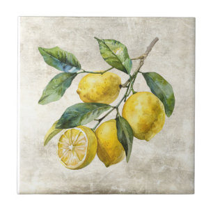 Rustika Citroner Shabby Chic Stuga Keramik Kakelplatta