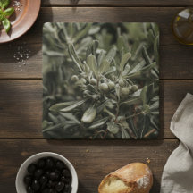 Rustika Gren Oliv Medelhavet Italien