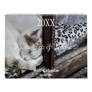 Rustika katter & kattungar 2 Väggkalender - HAMbyW Kalender