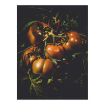 Rustika Tomater i Vintage Farmhouse Kök Moody