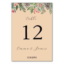 Rustikt rött julhögtidsgran och kotte