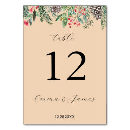 Rustikt rött julihyllande och kotte bordsnummer