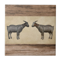 Rustiska getter och keramiska plattor av trä