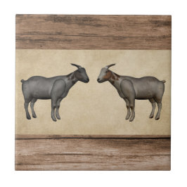 Rustiska getter och keramiska plattor av trä kakelplatta