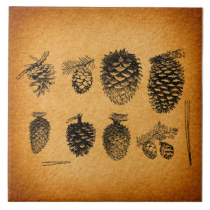 Rustiska Pinecones Gräs Cone Artwork Antique Desi Kakelplatta