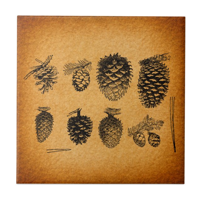 Rustiska Pinecones Gräs Cone Artwork Antique Desig Kakelplatta (Framsidan)