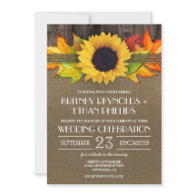 Rustiska solrosor + inbjudningar till skottlossnin