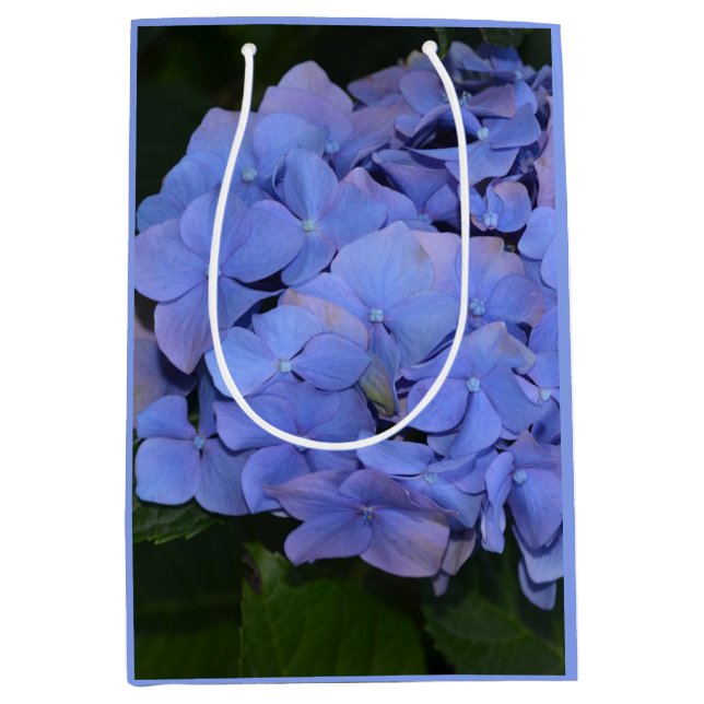 Rustit Lila Hydrangea macrophylla (Framsidan)