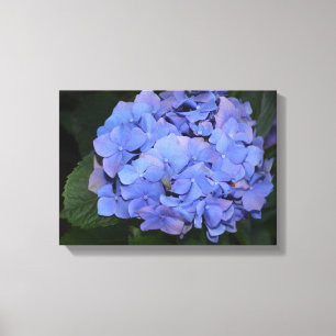Rustit Lila Hydrangea macrophylla Canvastryck