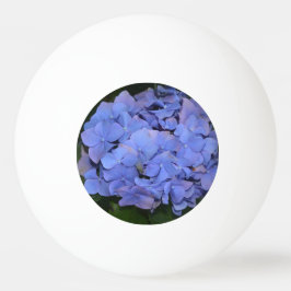 Rustit Lila Hydrangea macrophylla Pingisboll