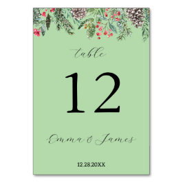 Rustit rödholly och fir cone bordsnummer