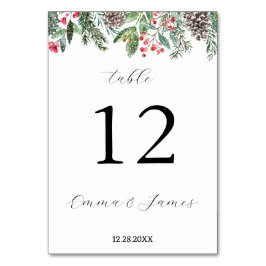 Rustit rödholly och fir cone bordsnummer