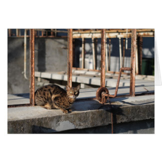 Rusty Cat Hälsningskort