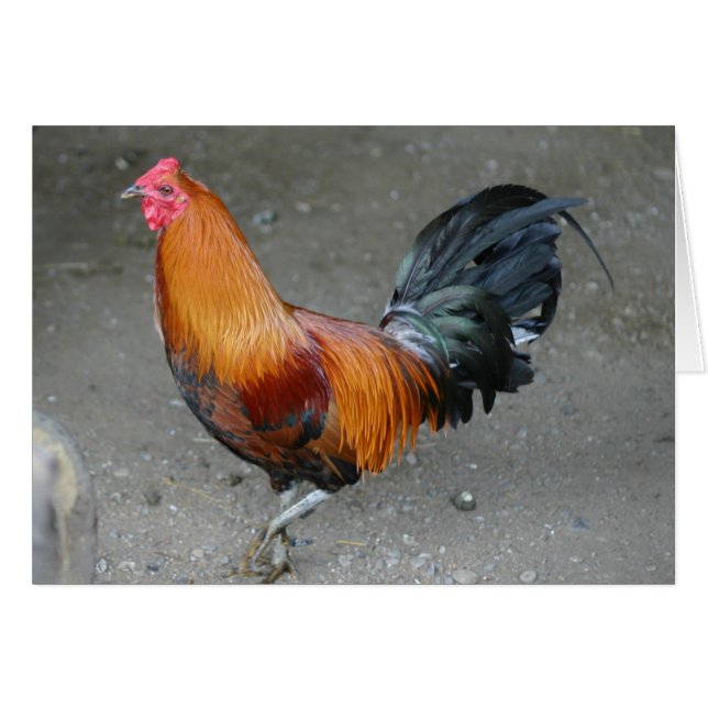 Rusty Hälsningskort (Framsidan Horizontal)