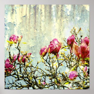 Rusty Magnolia Poster