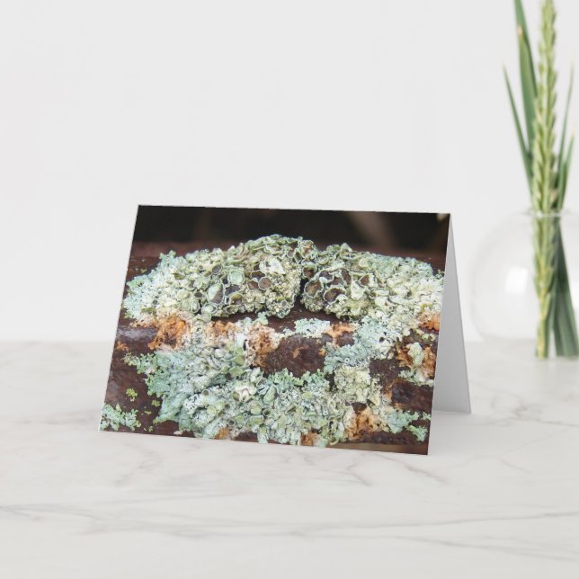 Rusty- och Crusty Farm Equipment Kort (Framsida)