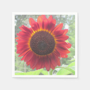 Rusty Red Solros Napkin Pappersservett