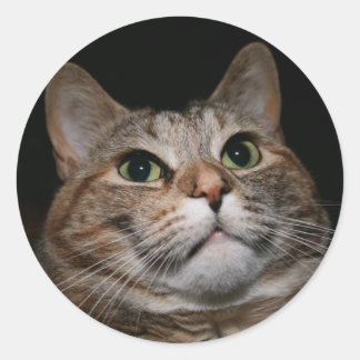 Rusty Runt Klistermärke