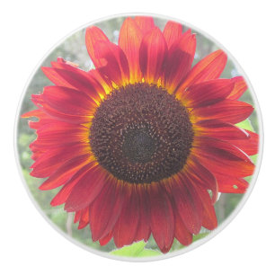 Rusty Solros Ceramic Knob Knopp