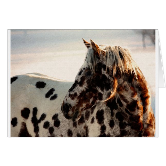 Rusty the Appaloosa Hälsningskort (Framsidan Horizontal)