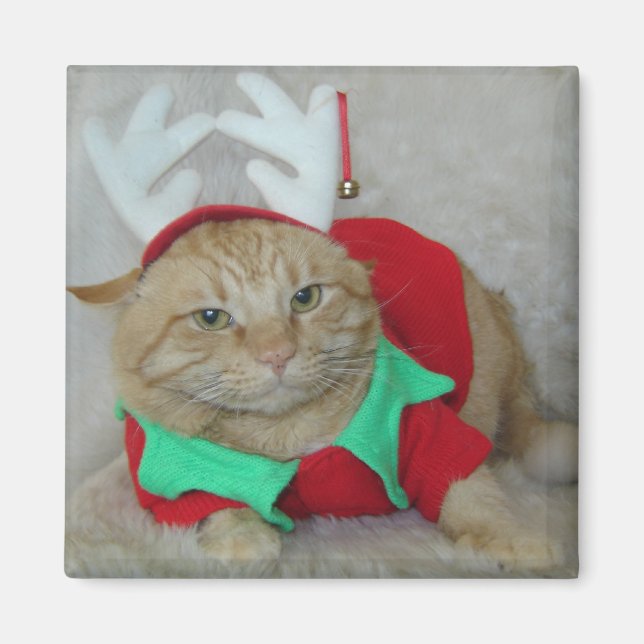 Rusty the Reindeer Elf Magnet (Framsidan)