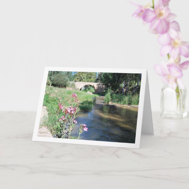 Ruta del Agua Blommigt Porträtt, Chelva, Valencia Kort (Orkide)