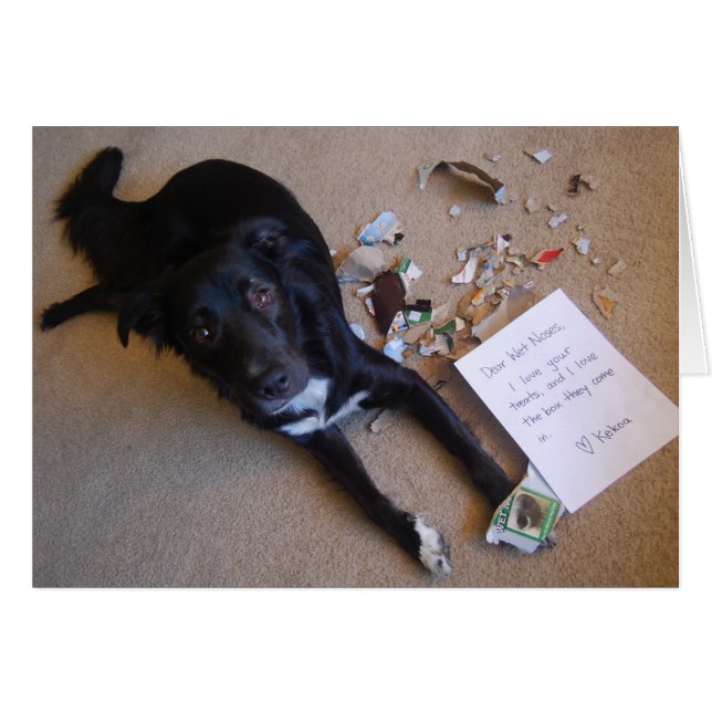 Ruta. Status == Förstört. Hälsningskort (Framsidan Horizontal)