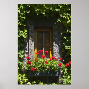 Rutan Red Geranium Window Poster