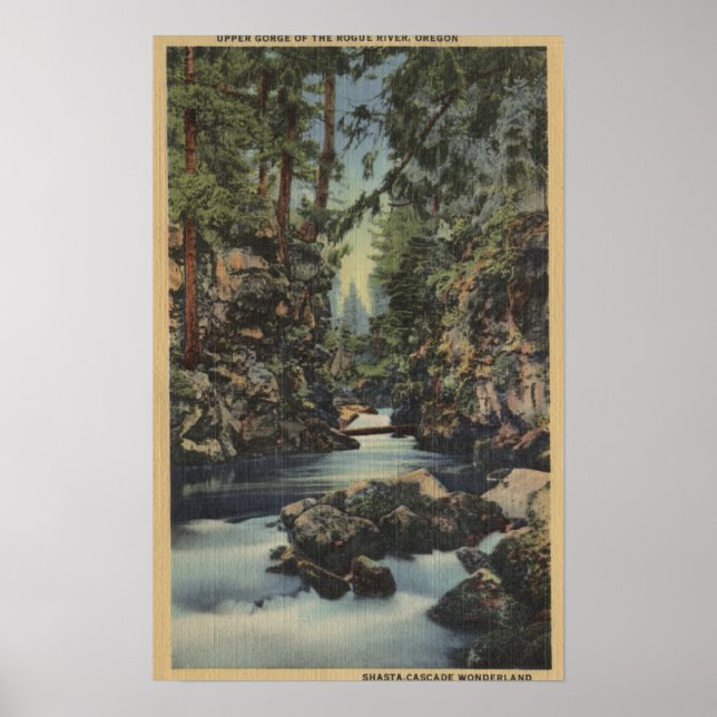 Rutfloden Oregon - övre Gorge-View of River Poster (Framsidan)