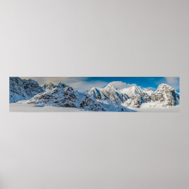 Ruth Glacier Denali nationalpark Pano Poster (Framsidan)