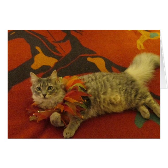 Ruthie katten hälsningskort (Framsidan Horizontal)