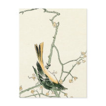 Ruticilla aurorea på plum gren - japansk konst