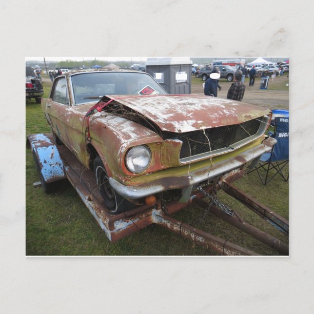 Rutknapp med böjd Huva Vykort (Framsida)