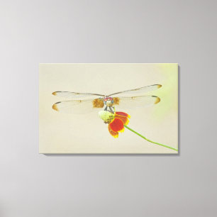 Rutnätad vingdymen (Dythemis fugax) på mexikansk Canvastryck