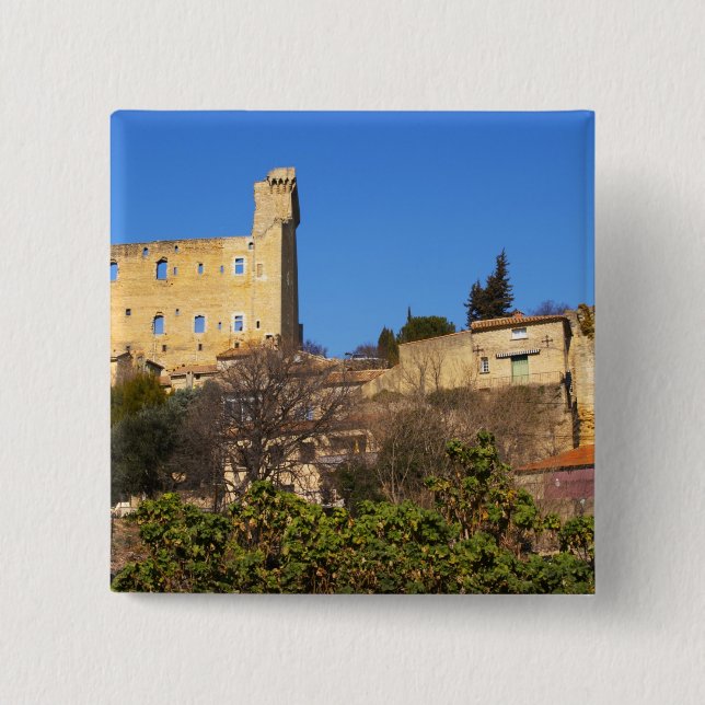 Rutorna från påvens sommarslott i knapp (Framsida)